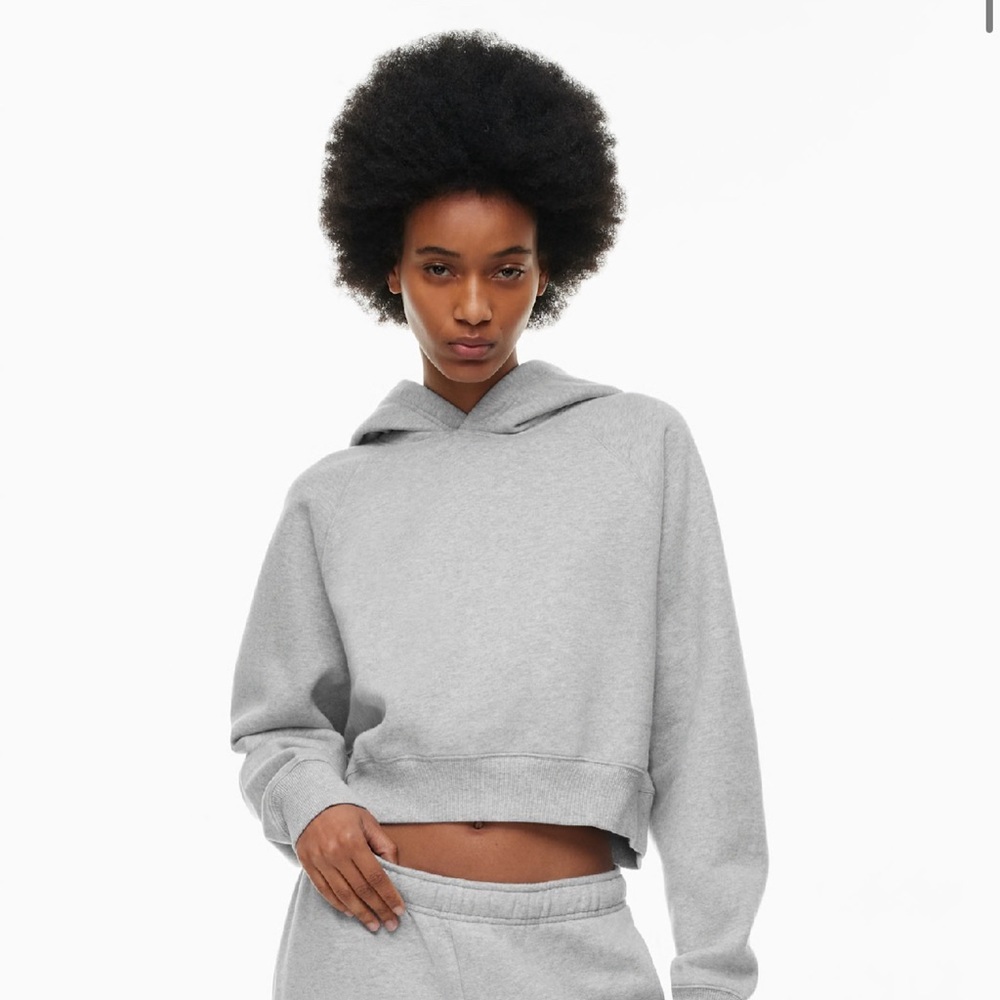 Aritzia Cozy Fleece Mega Raglan Cropped Hoodie